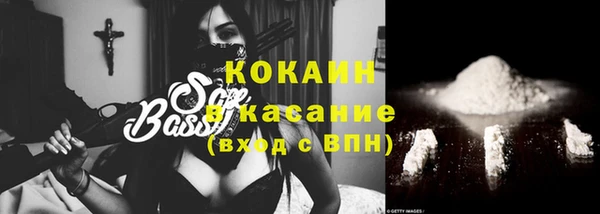 ECSTASY Алзамай