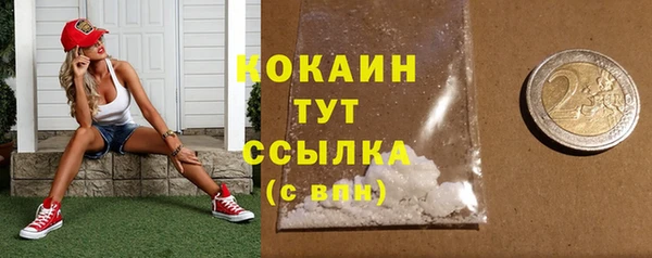 прущие грибы Сафоново