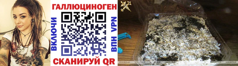 Галлюциногенные грибы MAGIC MUSHROOMS  где купить наркоту  Сим 